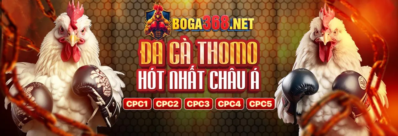 Đá Gà Trực Tuyến Cwin666 với Khuyến Mãi Hấp Dẫn